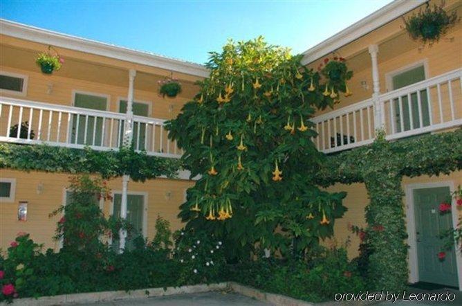 Creekside Downtown 3*